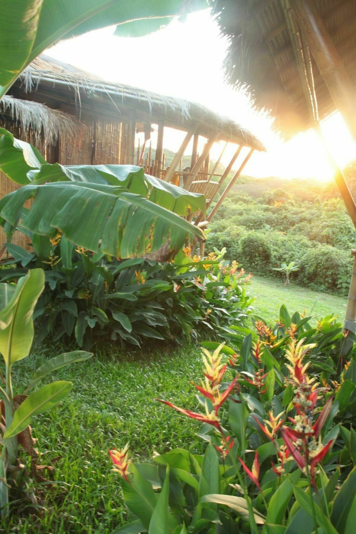 Phuree Hut Koh Phayam Exteriör bild